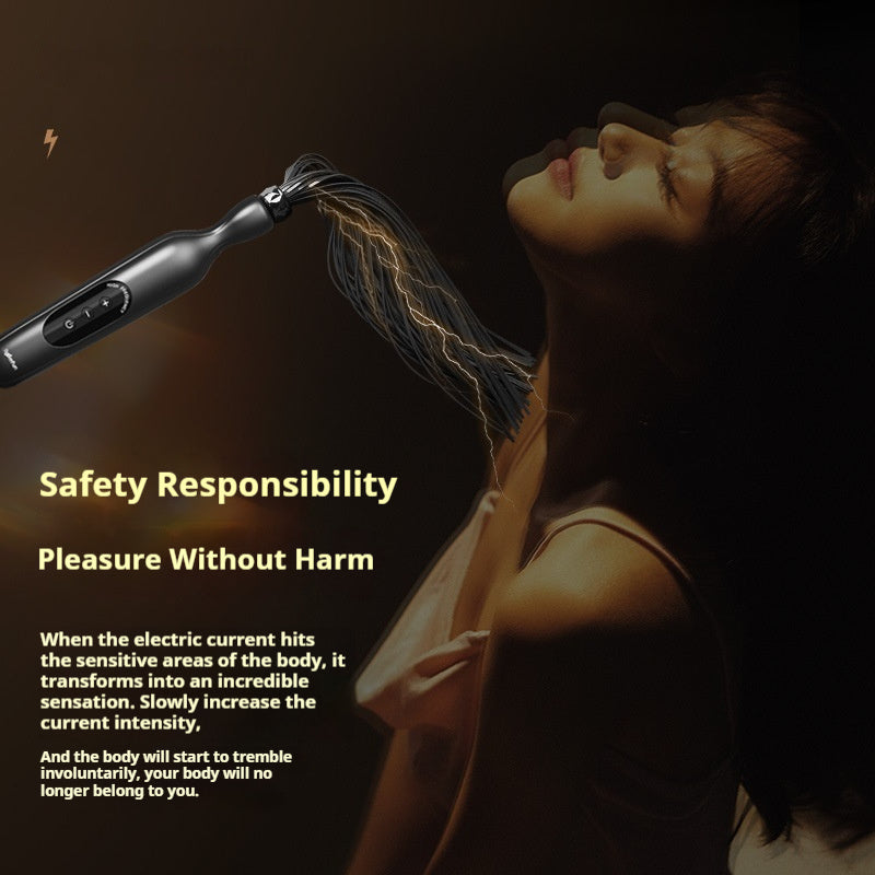 Room Electric Whip Punishment An Engine Of Torture Training